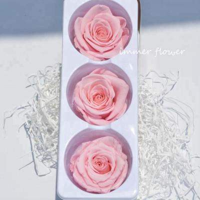 China Natural touch export preserved rose 6-7cm everlasting rose preserved flower made in china for sale