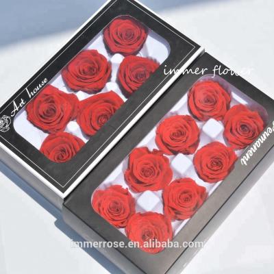 China Premium Natural Touch Yunnan Natural Preserved Preserved Flowers Rose Singapore for sale