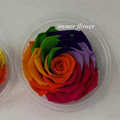 China Natural Touch Long Term Preserved Rainbow Rose In Box For Party And Wedding Decoration for sale