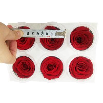 China Wholesale Natural Touch Same Quality As Ecuador Rose 5-6cm Preserved Rose Multi Colored Roses for sale