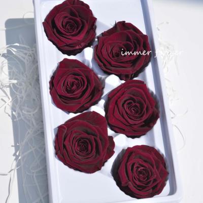 China Natural Touch Preserved Rose With Stem Preserve Roses Lasting Forever Forever for sale