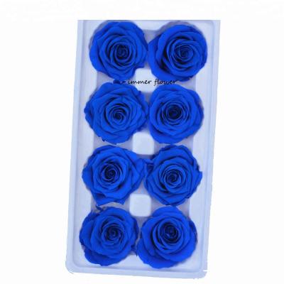 China Natural Wholesale Touch Roses Preserved Flower Forever Preserved Roses Colombia for sale