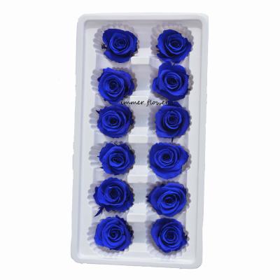 China Contact Ecuador DIY Natural Roses Preserved Rose Head Decorative Real Eternal Flower for sale