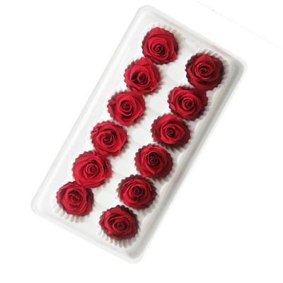 China Natural Wholesale Flowers Durable Preserved Rose from Alibaba Ecuador Contact for sale