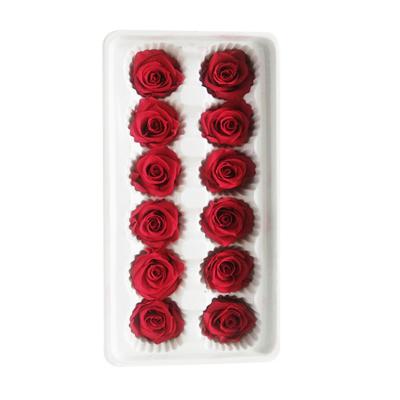 China Natural Touch Flower Natural Dry Wholesale Eternal Rose Preserved Flowers Malaysia for sale