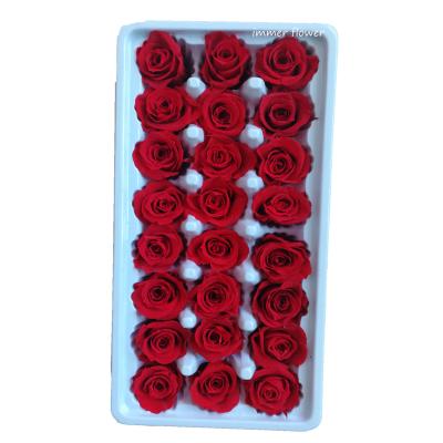 China Preserved Touch Natural Mini Rose 2-3cm Real Rose Flower Make Gift Box for sale