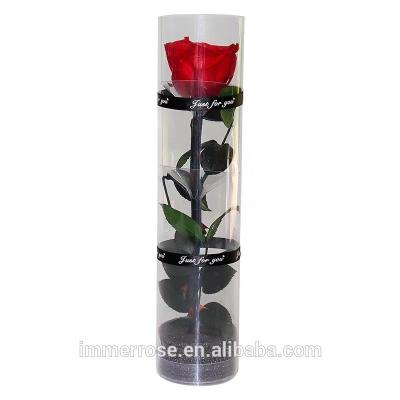 China Natural Touch Single Stem Roses Preserved Real Flower Preserved Natural Long Stem Rose for sale