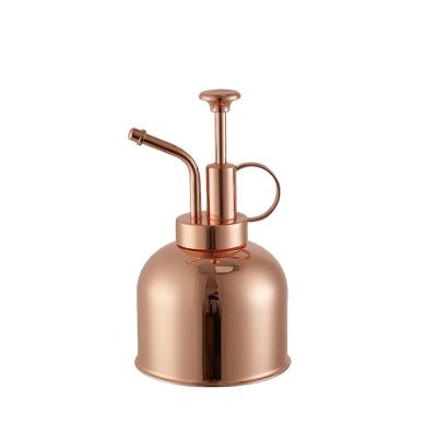 China 304 Stainless Steel Water Spray Bottle Small Portable Universal Watering Cans for sale