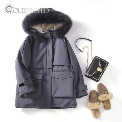 China New Design Viable Down Jacket Women Hooded Hooded Winter Jacket Ladies Stripper Bottom for sale