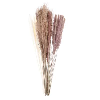 China Dry flowers 30 pieces of high quality natural dry tubular reed tubular home pampas bouquet decoration for sale