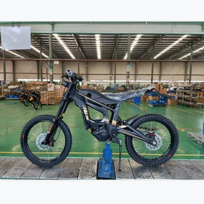 China New Energy Peak Offroad Motorcycle Electric Lightweight Offroad Motorcycle for sale