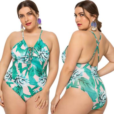 China New QUICK DRY one piece plus size swimwear halter strap printed swimsuit for sale