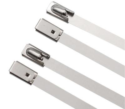 China Eco-friendly Self-locking Outdoor Garden Tie Stainless Steel High And Ground Temperature Corrosion Resistant Cable Tie Tie Fixed for sale