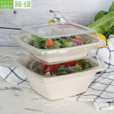 China 42oz Bagasse Easy Green Disposable Square Compostable Salad Container Eco-friendly Sugarcane Bowls With Lids for sale