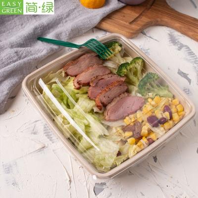 China Disposable Green Easy Disposable Biodegradable Bagasse Paper Meal Pulp Bagasse Takeout Food Tray CS1000 for sale