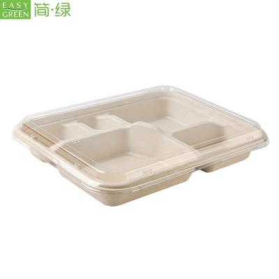 China 5-Compartment Bamboo Disposable Biodegradable Lunch Food Tray Compostable Eco-Friendly Bagasse Tray With PET Paper Lid for sale