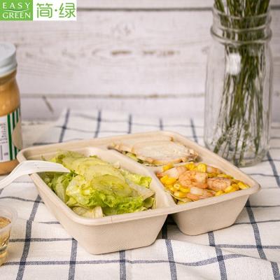 China Microwavable Disposable Eco Friendly Biodegradable Compostable Caterer 3 Compaertment Bento Lunch Box for sale