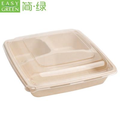 China Green Hot Sales Disposable Bagasse Lunch Trays Easy Disposable Biodegradable With Lid for sale