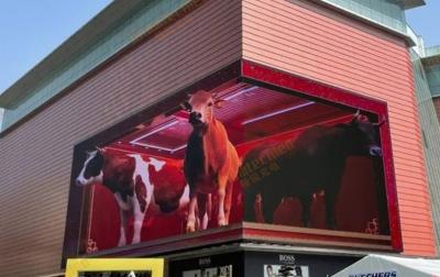 Chine IP65 affichage à LED imperméable de publicité commerciale d'écran de l'oeil nu 3d LED à vendre