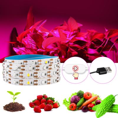 China Seed Starting LED Grow Light Waterproof IP65 LED Strip 5050 Flower Plant Growth Lamp 60led/m For Plant Indoor Hydroponic Growing for sale