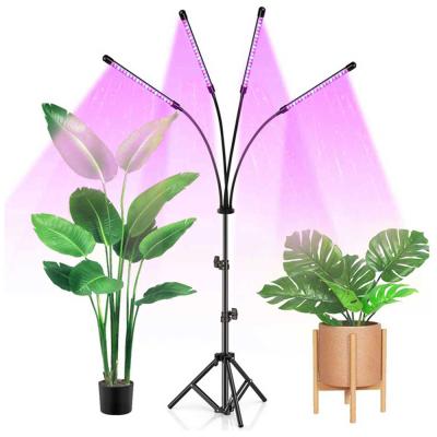 China Seed Starting Lamp 40w 80w Greenhouse Plant Indoor Tripod Agricultural Foldable Full Timming Height Adjustable Spectrum Led Grow Light for sale