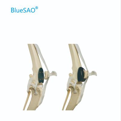 China Different size prosthesis are suit for different weight animal spline replacement kit patellar implant prosthesis and trial prothesis size 9 veterinary orthopedic instrument for sale