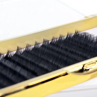 China Korea Synthetic Fiber Brush Silk Lashes Extensions Micro Eyelash Extension for sale