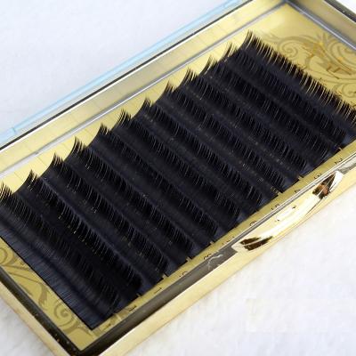 China Korean OEM Long Natural Free Sample Eyelash Extension for sale