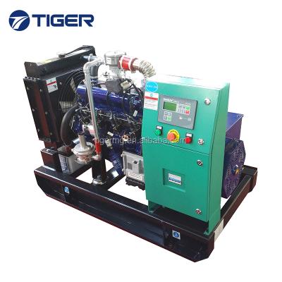 China Fast delivery CE arppoved small natural gas generator TG10GF for sale