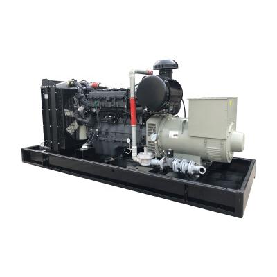 China High Quality Reliable Sinotruk 300kva Natural Gas Generator TG300GF for sale