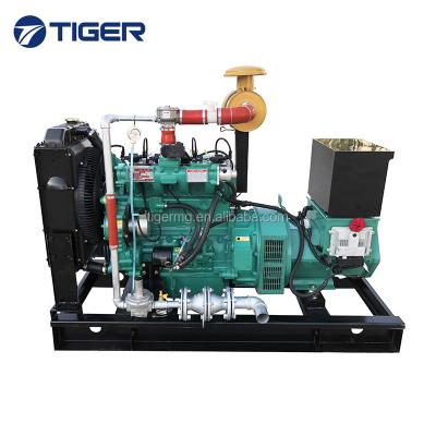 China farm use biogas plant 20kw small biogas generator set TG20GFT for sale