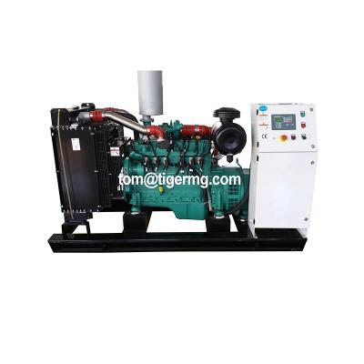 China Powered By Cummins 50kw Boiler Wood Waste Pallets Rice Husk Biomass Gas Generator Gas Generator TG50GF for sale