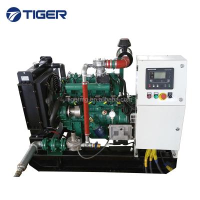 China CE 10KW CE Approved Small Power Hot Sale Portable LPG Generator TG10GFT for sale