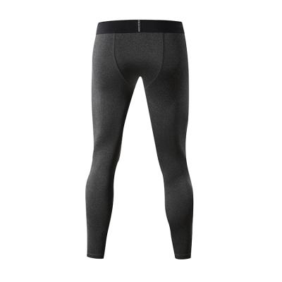 China China Supplier QUICK DRY Men's Sports Casual Fitness Tight Pants for sale