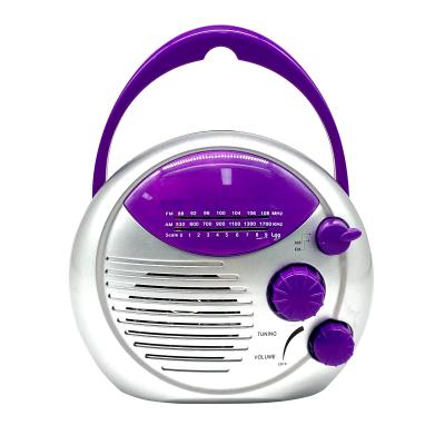 China INTEGRATED SPEAKER SY-168 AM/FM IPX4 Shower Radio With Built-in Speaker for sale