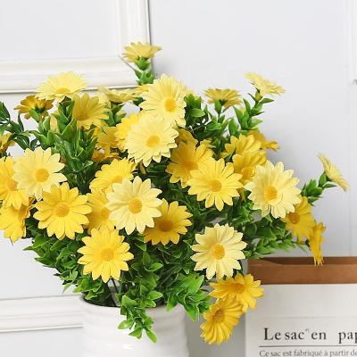 China Beautiful colorful hot sale daisy for sale