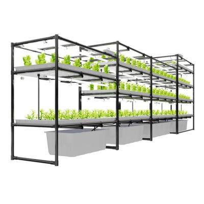 China Agriculture Planting Plant Supplying Customized Greenhouse Agricultural Hydroponic Equipment High Quality Plastic Ebb And Flow Trays Rolling Bench for sale