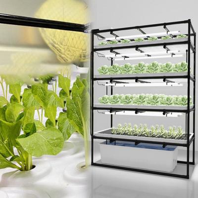 China Agriculture Planting 2022 Hot-selling Hydroponic Greenhouse Table Seedlings Ebb and Flow Rolling Benches for sale