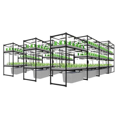 China Agriculture Planting Greenhouse Ebb And Flow Rolling Bench With Growing Trays Hydroponics Rolling Bench Table for sale