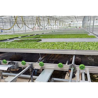 China Mesh High Quality Greenhouse Movable Fully Automatic System Ebb And Flow Nursery Table Hydroponic Logistic Rolling Bench for sale