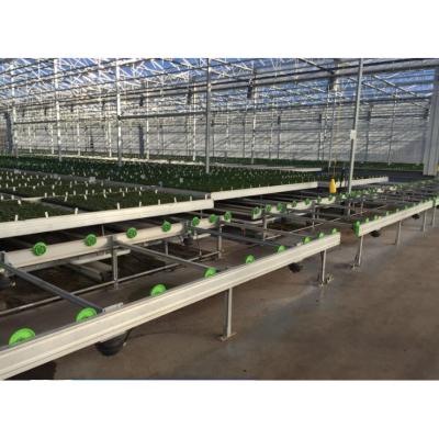 China Mesh Hydroponic Greenhouse Bench Growth Flood Table Logistics Seedling Rolling Bench for sale