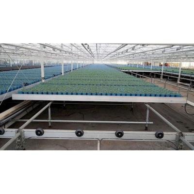 China High Quality Mesh Custom Agriculture Hydroponic System Greenhouse Ebb and Flow Logistics Rolling Bench for sale