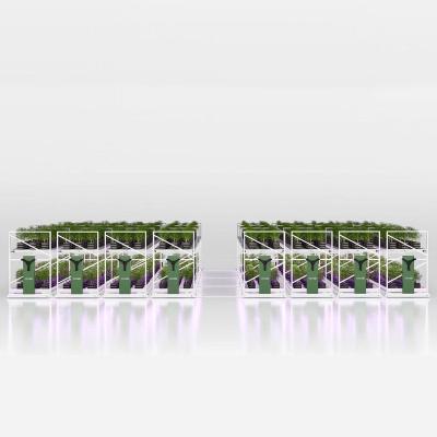 China 2022 Indoor Greenhouse Medicine Plant Growing Hydroponic High Quality Vertical Propagation Multiple Rows Growing Rack for sale