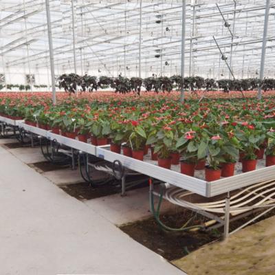 China ABS Tray Ebb And Flow Rolling Tray Rolling Benches Greenhouse Greenhouse Medicine Table Benches Tables 4x4 4x8 Agriculture Flood Tray for sale