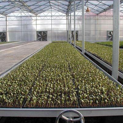 China Greenhouse Medicine Planting Well Vegetables And Fruit Ebb And Flow Rolling Benches For Greenhouse for sale