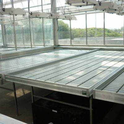 China Greenhouse Medicine Growing Table 4x8ft ABS Plastic Flood Trays Drop And Sink Rolling Bench for sale