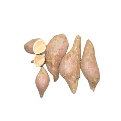 China Original 10kg Sweet Potato Sweet Juicy Paper Carton Fresh Chinese Orange Red Skin Flesh for sale