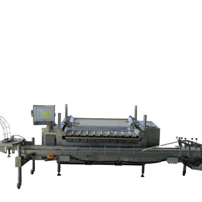 China SUS 304 material a complete set of blueberry mechanical processing equipment for fruit for sale