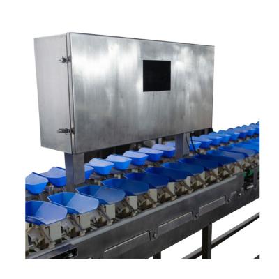 China Good Productivity and High Quality Multi-Platform Multi-Head Weigher 6-Pallet Combination Shrimp Classification Electronic Scale for sale