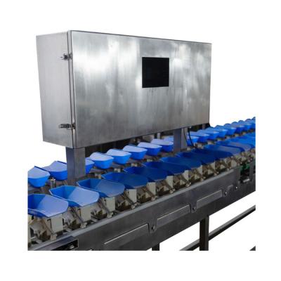 China Good Productivity and High Quality Sus304 8-Head Weighing Line Combination High Precision Weigher Electronic Scale for sale